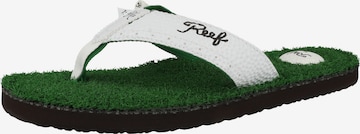 REEF Beach & Pool Shoes in Green: front