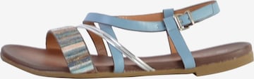The Divine Factory Sandals in Blue: front
