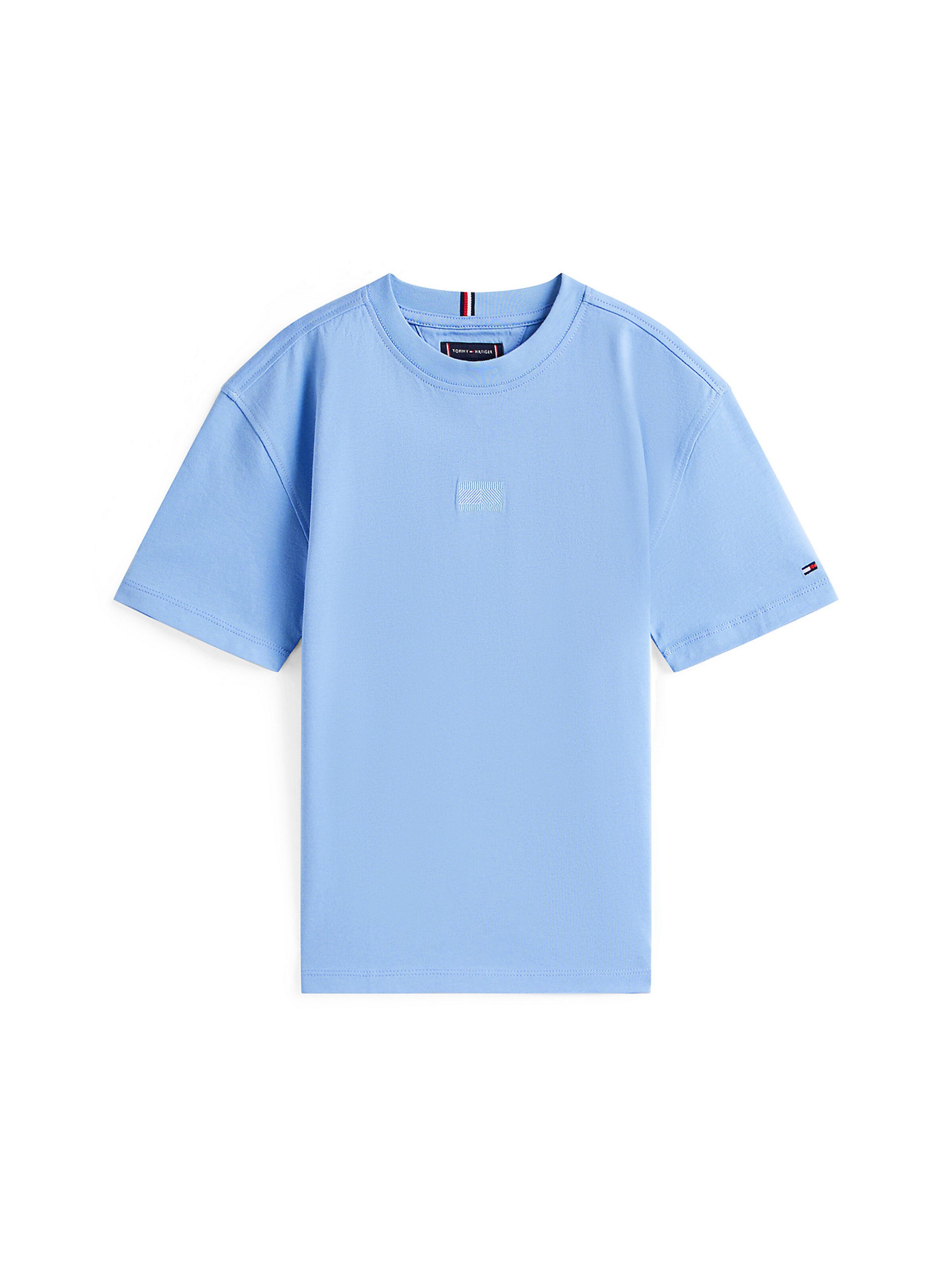 TOMMY HILFIGER Shirt in Blue: front