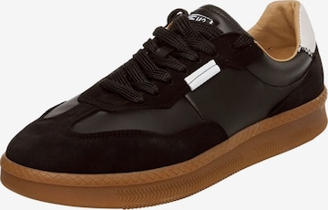 Sneaker bassa di STEVE MADDEN in nero: frontale