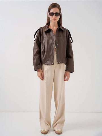 Veste d’hiver 'Jacken' Bigdart en marron