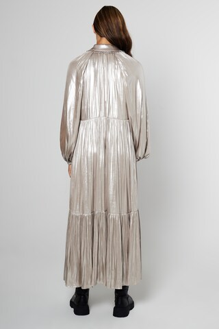 Aligne - Vestido de noche 'Gavid ' en plata