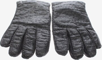 Roeckl Handschuhe XS-XXL in Schwarz: Vorderseite