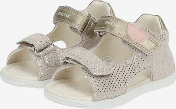 GEOX Sandalen in Beige