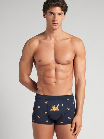 IUMAN Boxershorts in Blau