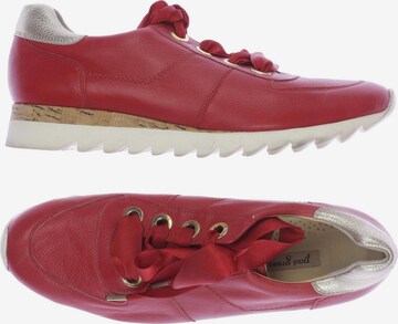 Paul Green Sneaker 40,5 in Rot: predná strana