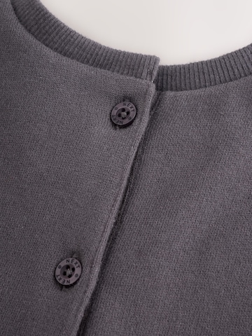 Next Kleid in Grau