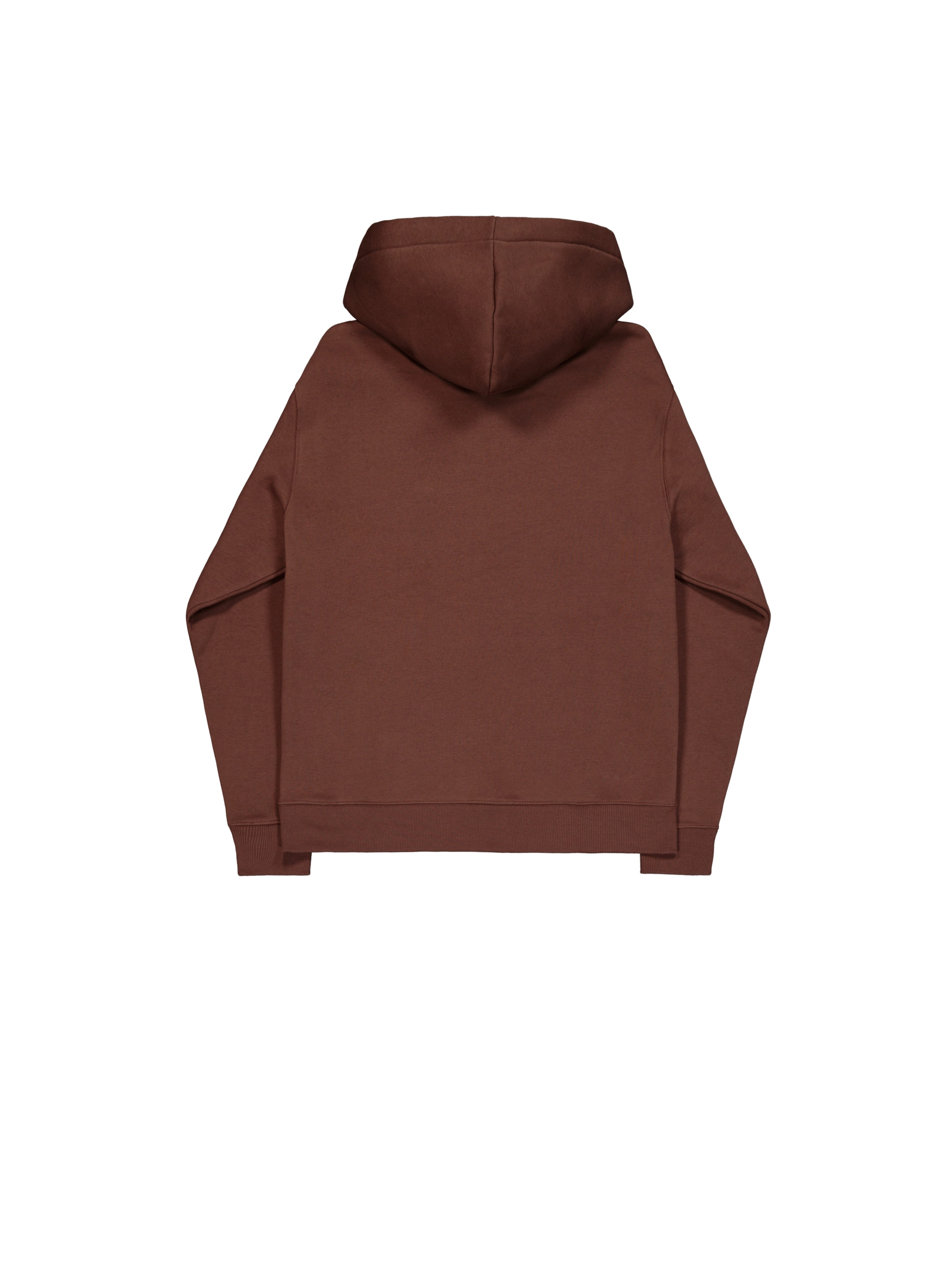 ALPHA INDUSTRIES Sweatshirt 'DTM ML' in Braun: Rückseite