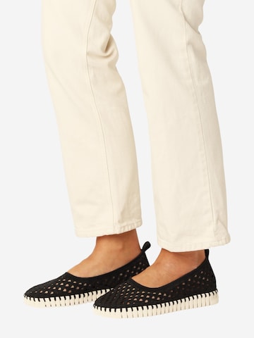 ILSE JACOBSEN Ballerina 'TULIP3479' in Black: front