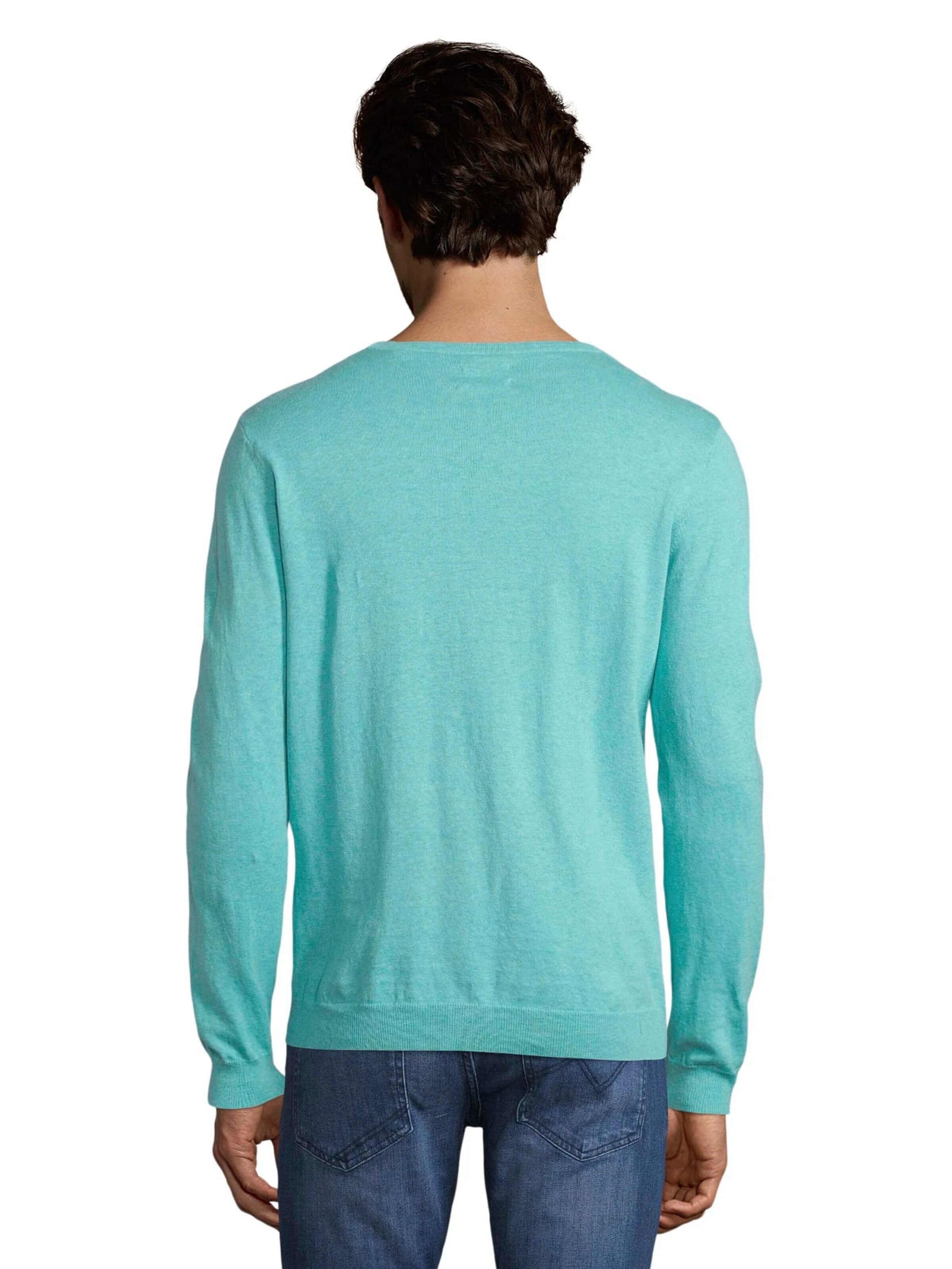 TOM TAILOR Sweatshirt in Groen