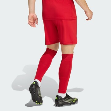 ADIDAS PERFORMANCE Regular Sports trousers 'Entrada26' in Red