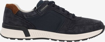 Pius Gabor Sneaker in Blau