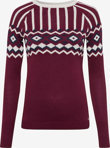 AJC Pullover in Rot: Vorderseite