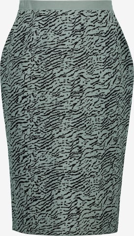 Ulla Popken Skirt in Grey: front