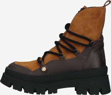 STEVE MADDEN Lace-Up Ankle Boots in Brown