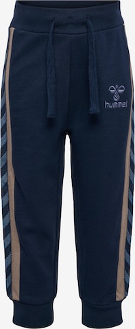 Hummel Regular Sportbroek 'AIDEN' in Blauw: voorkant