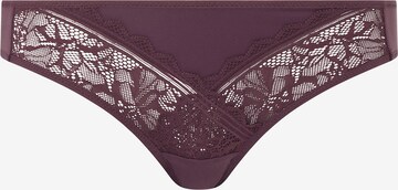 Femilet Slip in Lila: voorkant