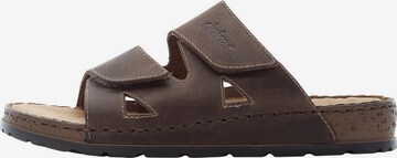 Rieker Mules in Brown