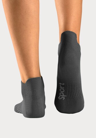 BENCH Sportsocken in Blau