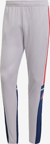 ADIDAS PERFORMANCE - Pantalón deportivo 'Squadra 25' en gris: frente