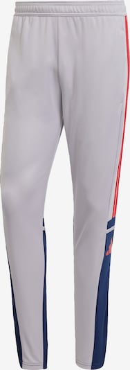 ADIDAS PERFORMANCE Sportske hlače 'Squadra 25' u mornarsko plava / siva / crvena, Pregled proizvoda