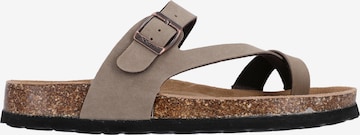 Cruz T-Bar Sandals 'HARDINBURG' in Brown