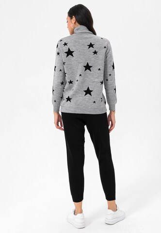 Pull-over Jimmy Sanders en gris