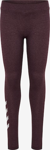 Hummel Sporthose in Braun: Vorderseite