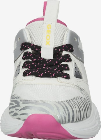 GEOX Sneakers in Mixed colors