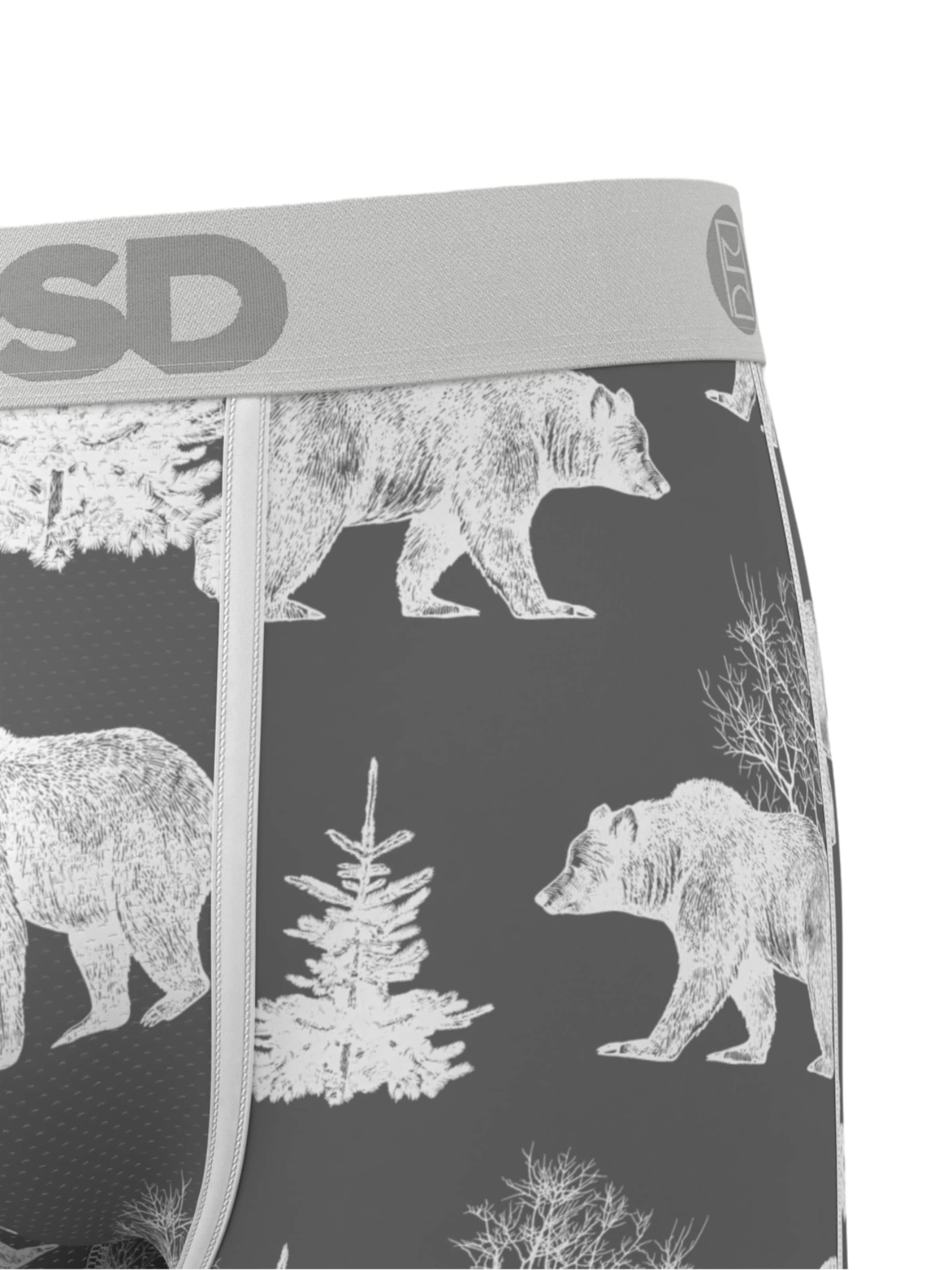 Boxers 'BEAR CHILL' PSD en mélange de couleurs