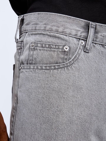 Dr. Denim Loose fit Jeans 'Omar' in Grey