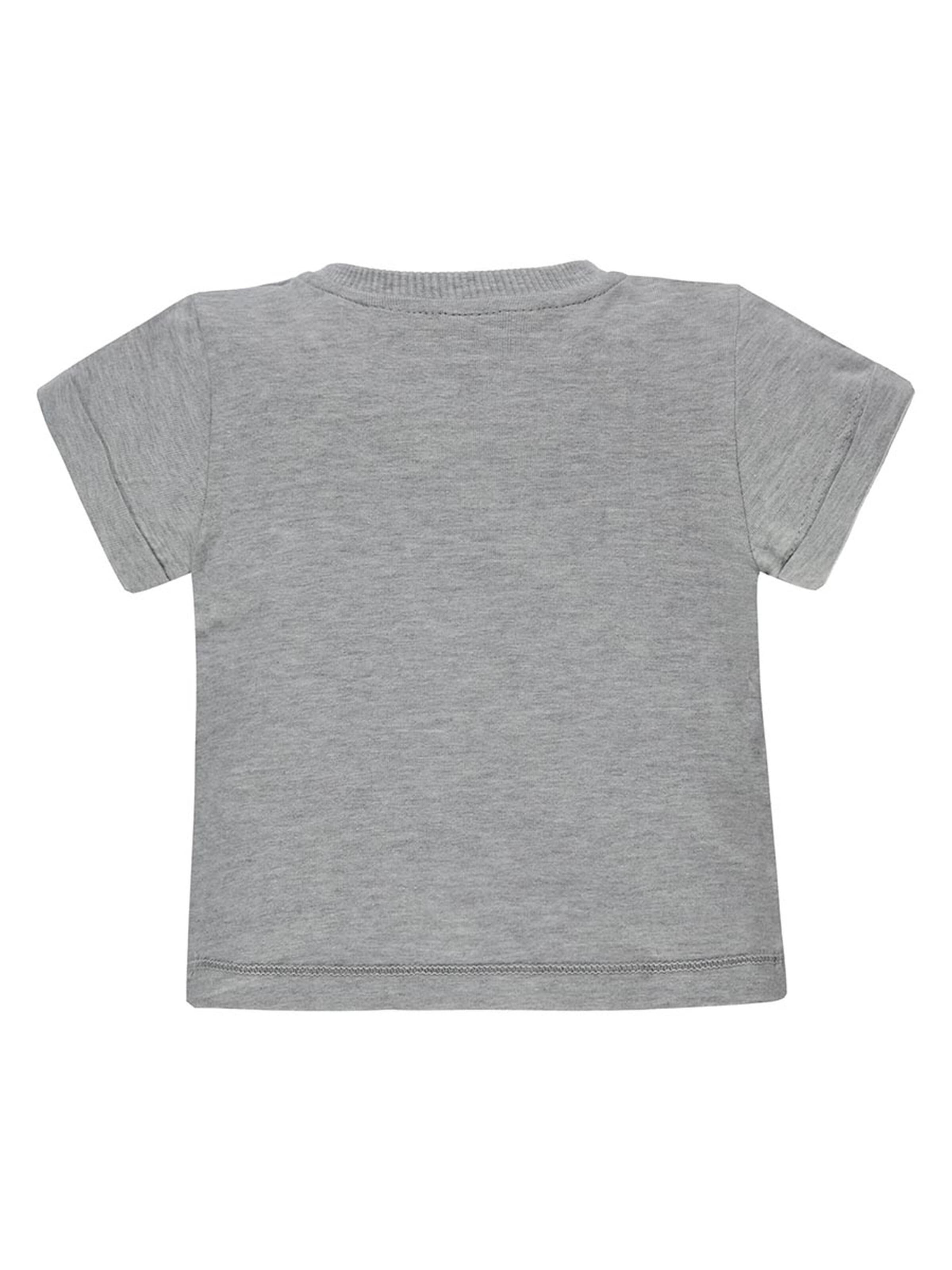 KANZ Shirt in Grey