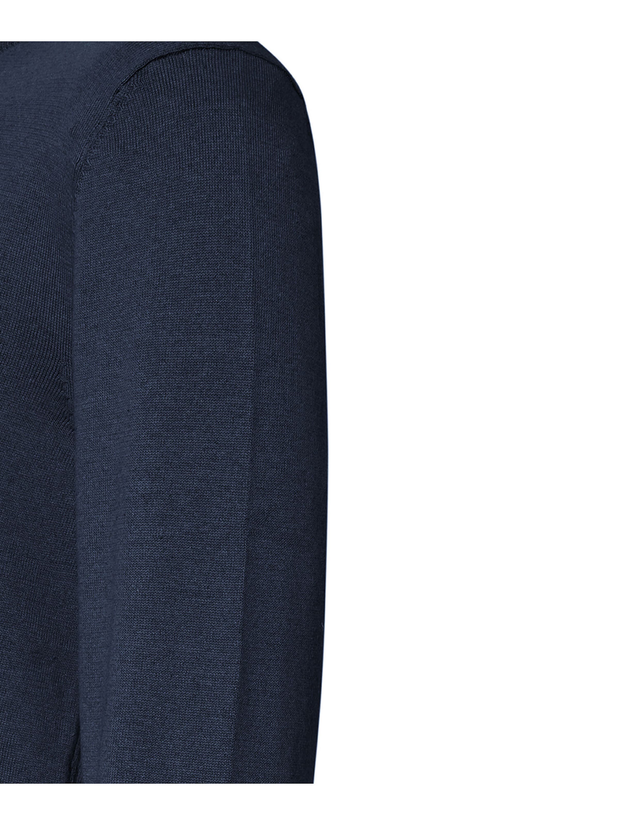 PIERRE CARDIN Pullover in Blau
