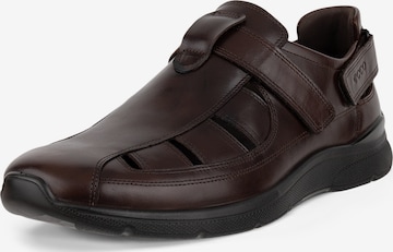 ECCO Sneaker 'Irving' in Braun: Vorderseite