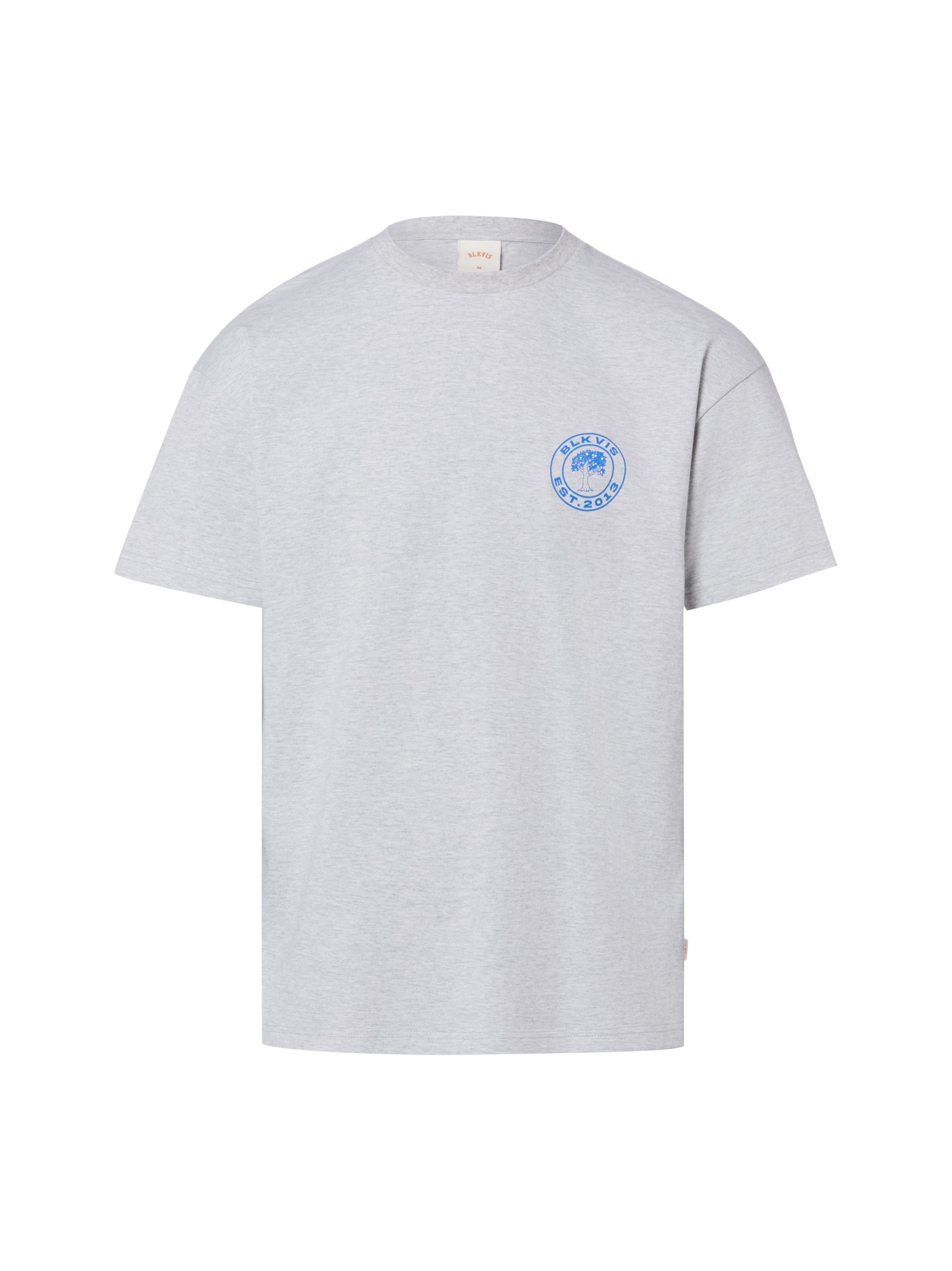 T-Shirt 'Source' BLKVIS en gris : devant