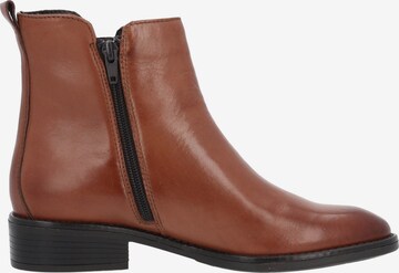 Bottines Palado en marron