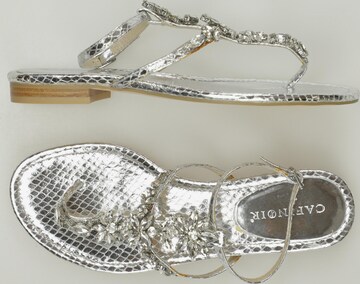 CAFÈNOIR Sandals & High-Heeled Sandals in 39 in Silver: front