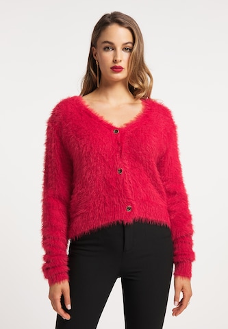 faina Knit Cardigan in Red: front