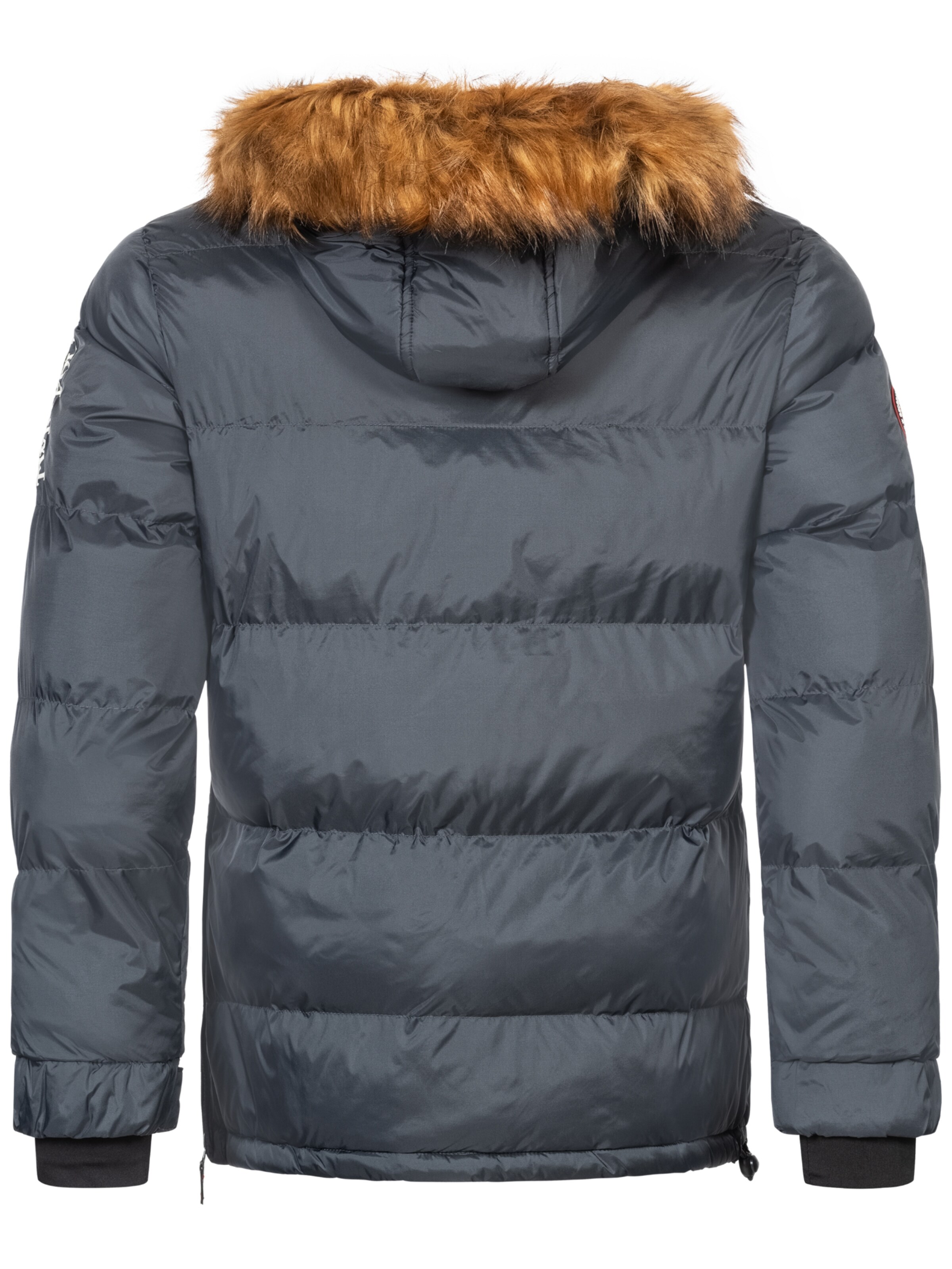 GEOGRAPHICAL NORWAY Winterjas in Grijs