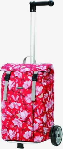 Trolley 'Basil-Magnolia' di Andersen Shopper in rosso: frontale