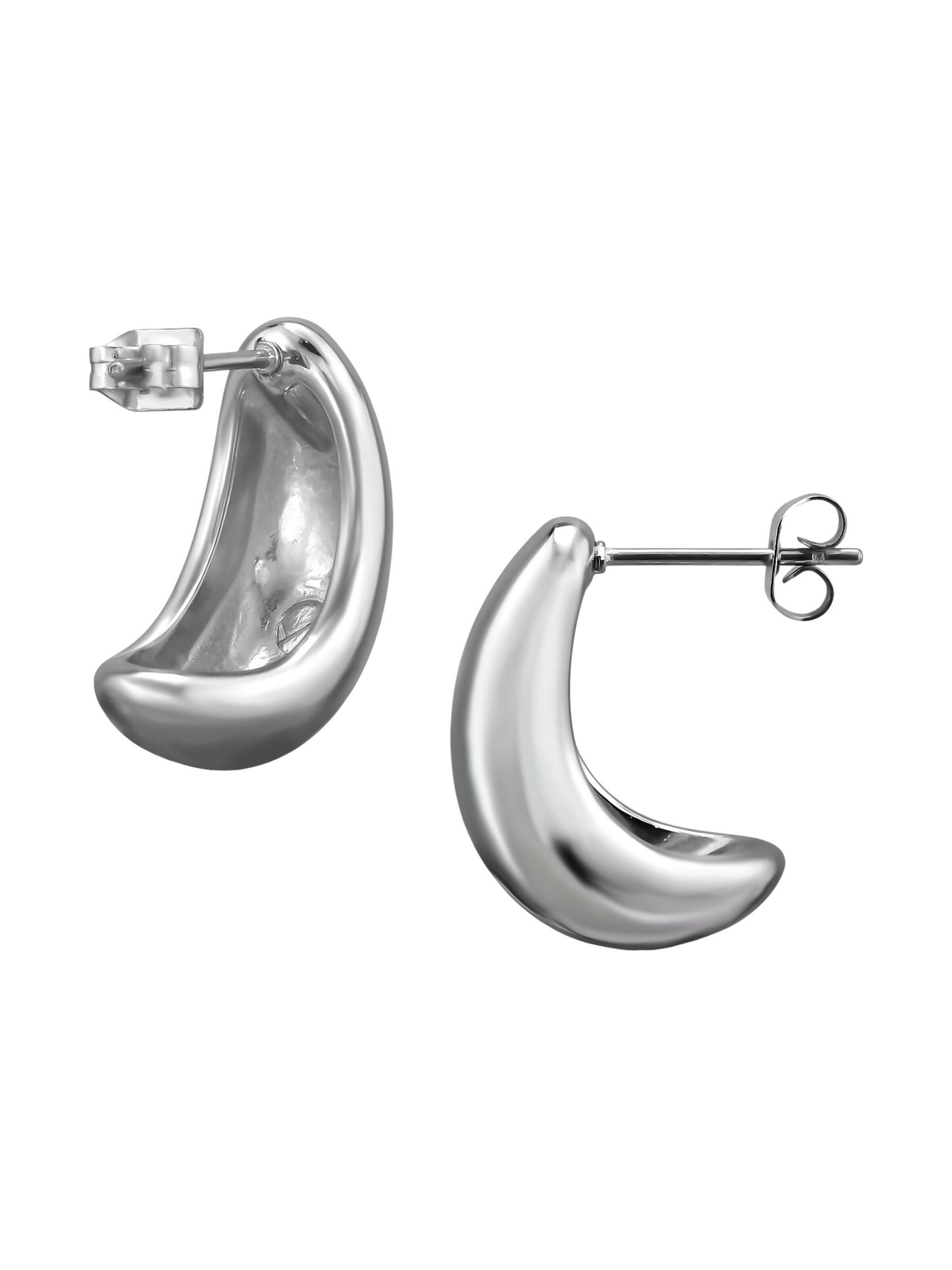 Maxte Earrings in Silver