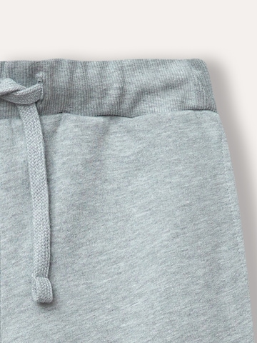 WINKIKI Regular Pants in Grey