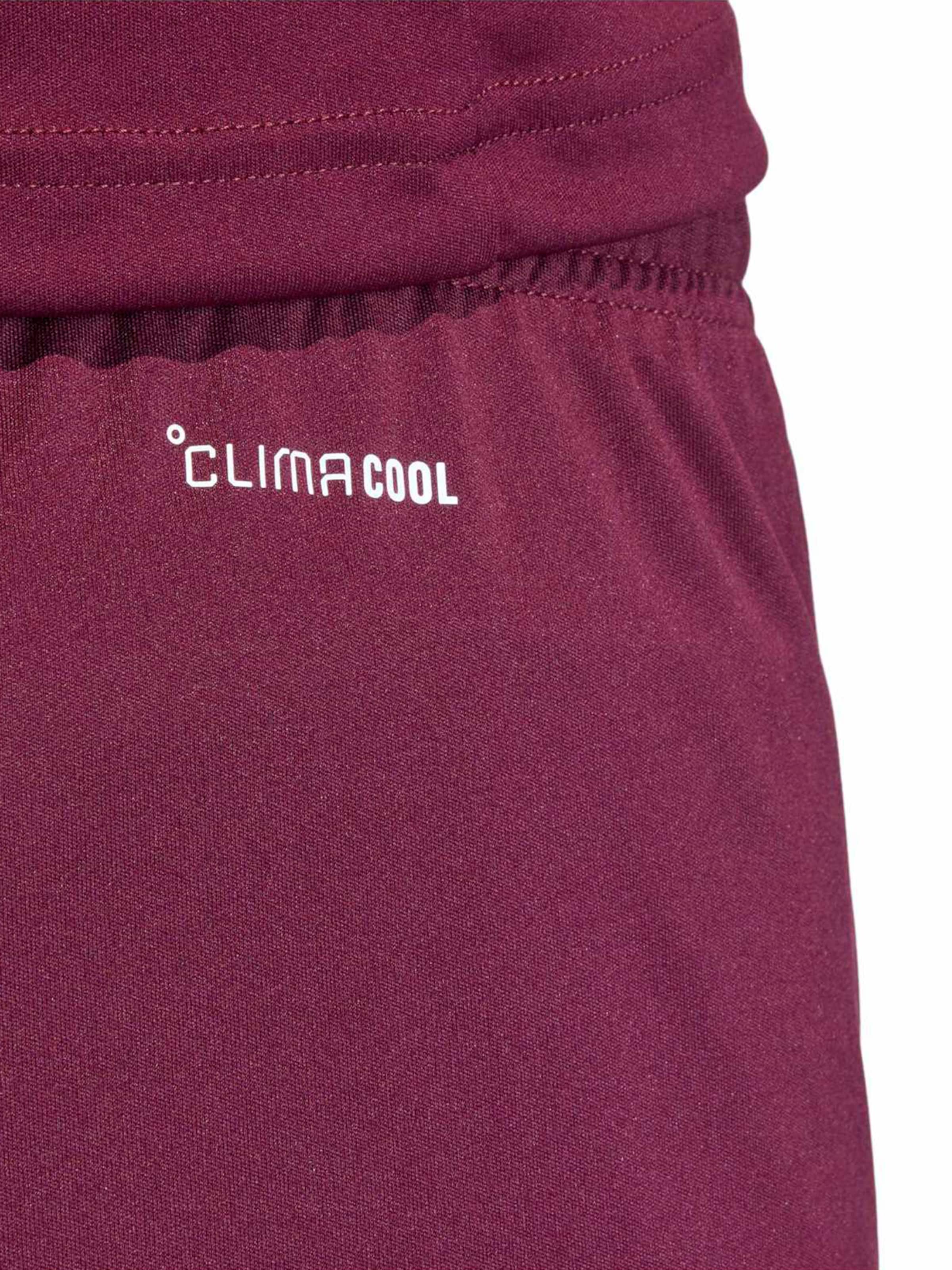 ADIDAS PERFORMANCE - regular Pantalón deportivo 'ENT26' en rojo