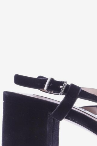 Zign Sandals & High-Heeled Sandals in 36 in Black