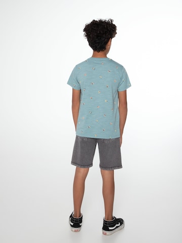 PROTEST Loose fit Pants 'ORLIN JR' in Grey