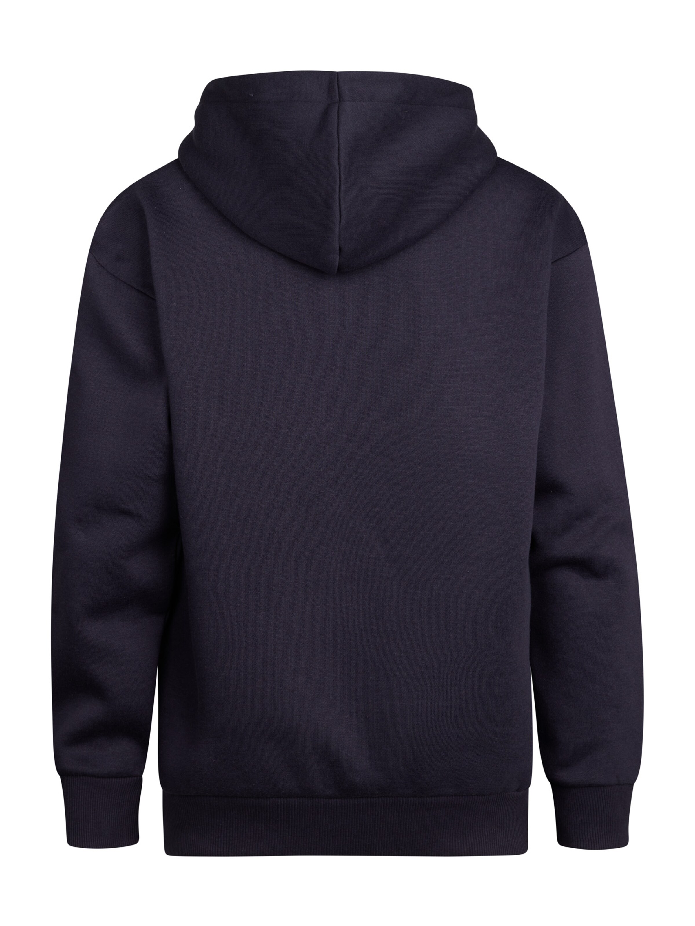 Petrol Industries Sweatshirt 'Ozark' in Blauw