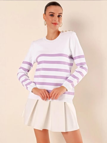 Bigdart Trui in Lila