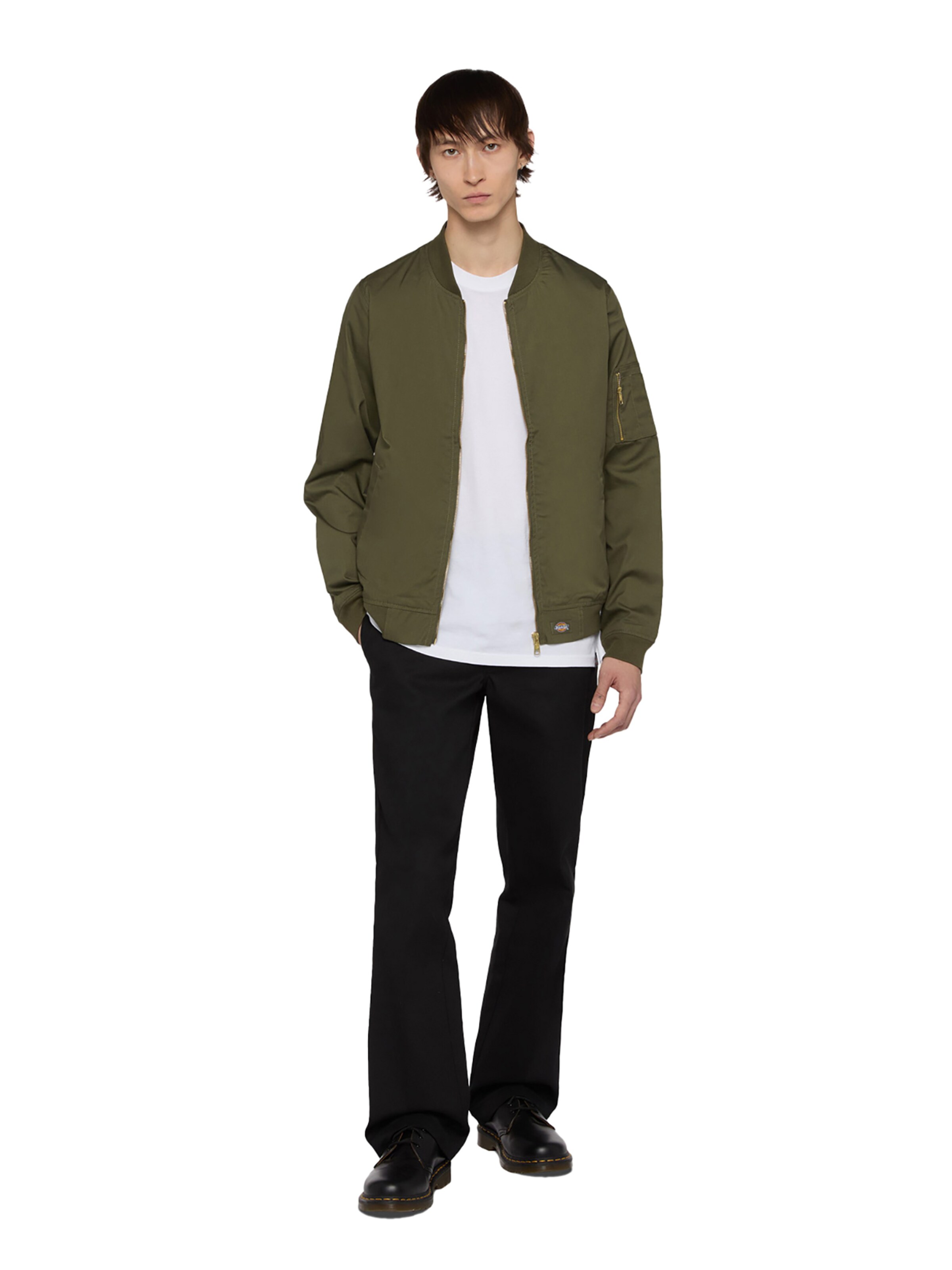 DICKIES Overgangsjakke 'Hughson' i grøn