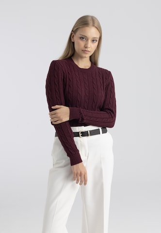 Felix Hardy - Jersey en rojo