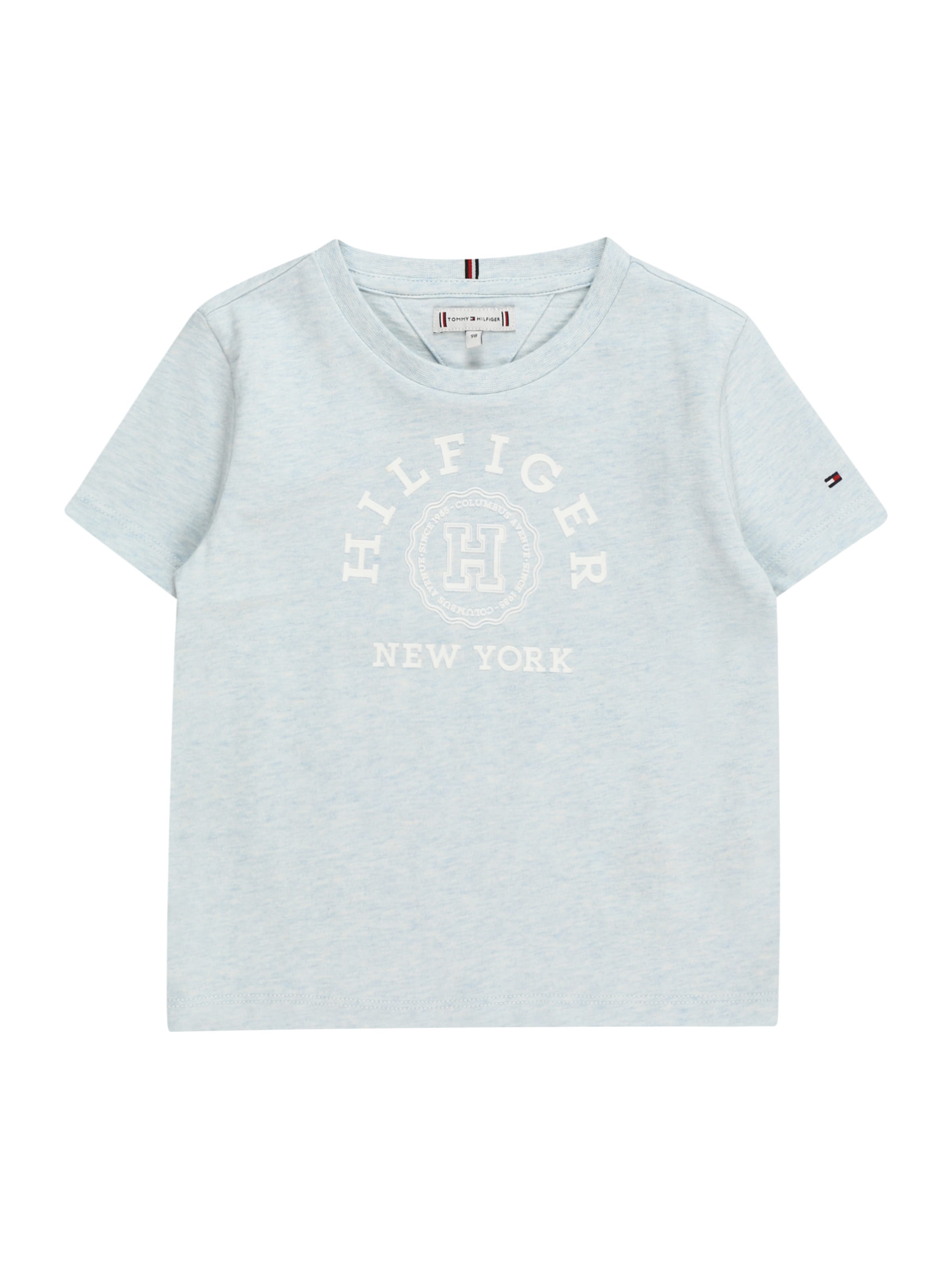 TOMMY HILFIGER Tričko – modrá: přední strana